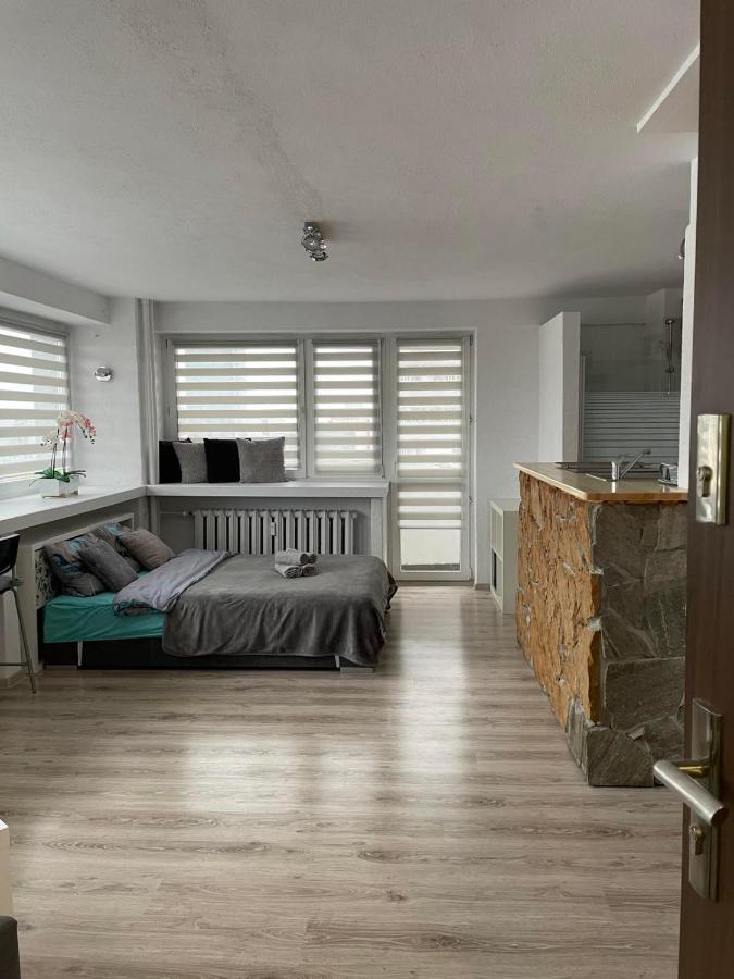 Apartamenty W Centrum Warszawy ワルシャワ エクステリア 写真